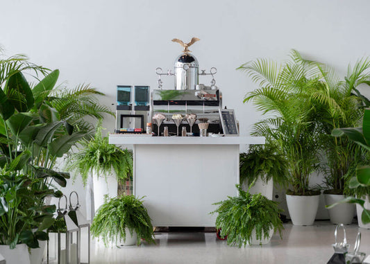 coffee and espresso bar rental Miami