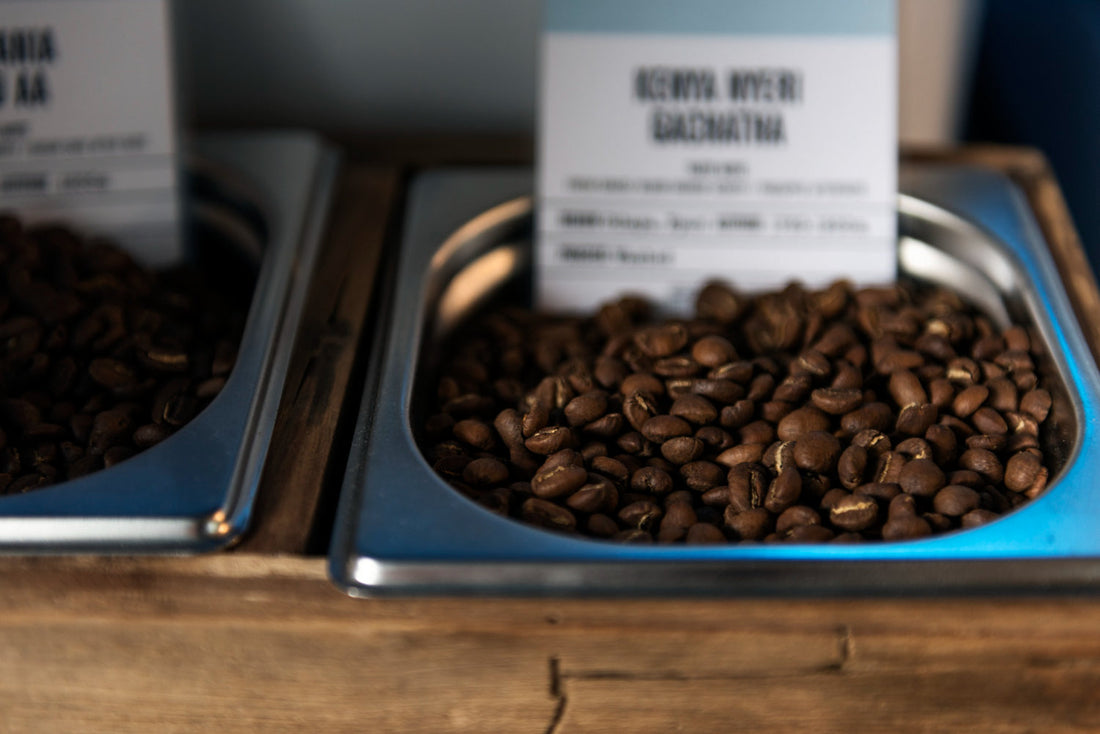 How La Vela Coffee Customizes Each Coffee Subscription for True Coffee Lovers