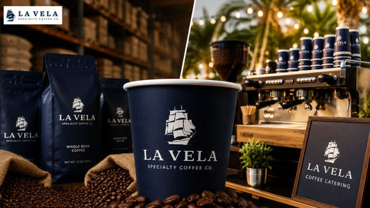 Wholesale Coffee or Coffee Catering: Which Coffee Solution Does Your Miami Business Need?